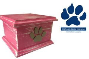 Alternative view of Urna cofre chica tapa