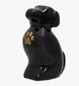 Alternative view of Toby