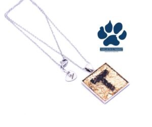 Dije con ceniza encapsulada formando letra