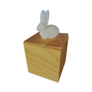 Alternative view of Conejo 3D