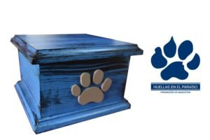 Urna cofre chica tapa