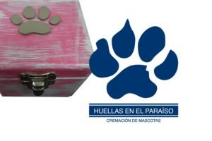 Alternative view of Urna cofre mediano broche