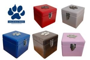 Urna cofre mediano broche